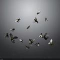 Group of Flies Flying Against Gray Background in Mid Air
