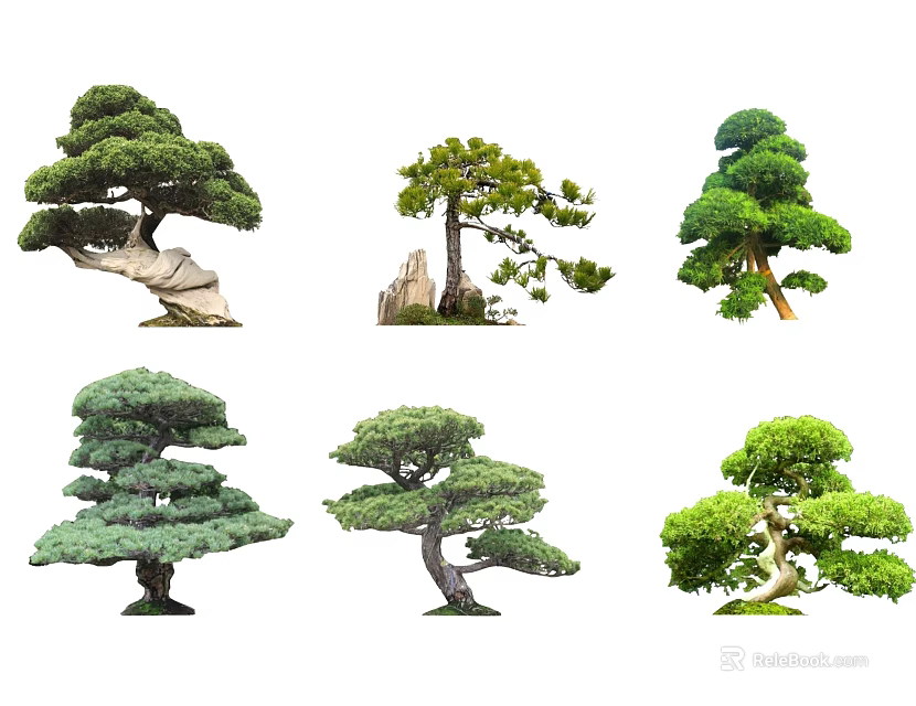 Bonsai Style Arbor Trees With Various Pruned Shapes Green Foliage And Unique Trunks 3d model 