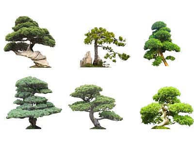 Bonsai Style Arbor Trees With Various Pruned Shapes Green Foliage And Unique Trunks 3d model
