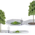 Lush Green Arbor Planted in Hexagonal Stone Planters with Soil and Small Plants