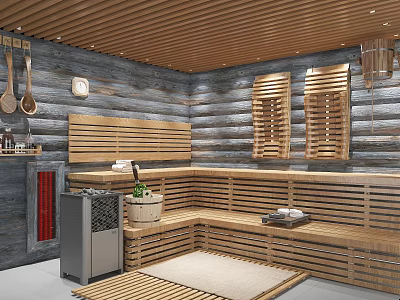 Rustic Sauna Shower Interior Design With Wooden Benches Log Walls And Sauna Heater 3d model