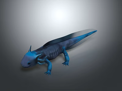 Blue Aquatic Creature With Smooth Skin Fins And Claws On Gray Background 3d model