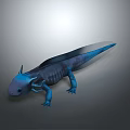 Blue Aquatic Creature With Smooth Skin Fins And Claws On Gray Background