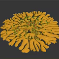 Yellow Radial Circular Artistic Structure With Petal Like Design Elements