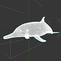 Realistic 3D Model Of Gray Dolphin With Long Beak And Smooth Skin