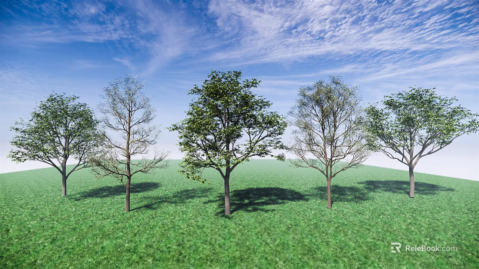 Tall Leafy Arbors With Shadows On Green Grass Under Clear Blue Sky 3d model 