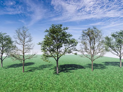 Tall Leafy Arbors With Shadows On Green Grass Under Clear Blue Sky 3d model