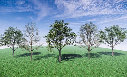 Modern Tree Pu Shu Du Ying Landscape Tree Arbor 3d model