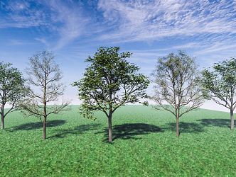 Modern Tree Pu Shu Du Ying Landscape Tree Arbor 3d model