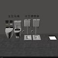 Modern Master Bathroom Toilet and Secondary Bathroom Squat Toilet Setup