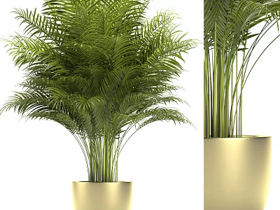 Lush Green Bonsai Potted Plant With Golden Ceramic Pot And Foliage 3d model
