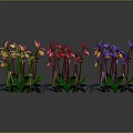 Colorful Potted Plants With Purple Red Yellow Pink Blue Flowers And Green Leaves