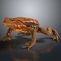 Detailed Colorful Toad With Red Brown Markings On Gray Background