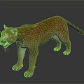Reddish Brown Puma Standing With Open Mouth On Grey Background