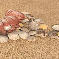 Modern Shell 3d model