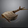 Detailed Horseshoe Crab Body Structure With Carapace Telson Legs And Antennae