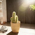 Cactus Potted Plant in Beige Ceramic Pot with Lying Cat Floor Lamp and Wooden Wall