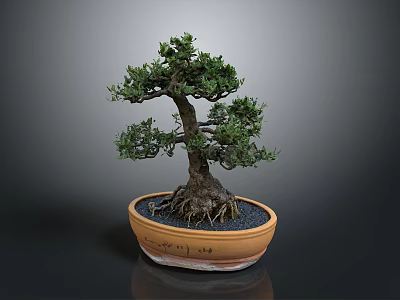 Bonsai Tree Bonsai Pottery Pot Roots Green Leaves Pottery Pottery Flower Pot 3d model