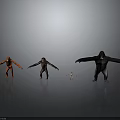 Various Sizes Primate Animal Models Standing In Gray Background With Reflective Floor