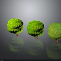 Three Green Spherical Plants With Scaly Leaves Brown Trunks And Reflections On Gray Gradient Background