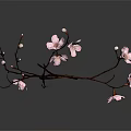 Elegant Pink Blossom Branch Adorned with Delicate Flowers on Dark Background