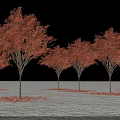 Red Leaf Tree Plant Combination With Blue Sky White Clouds White Ground And Fallen Leaves