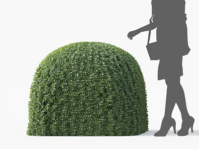 Round Green Well Trimmed Shrub With Female Silhouette In High Heels And Handbag 3d model