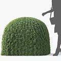 Round Green Well Trimmed Shrub With Female Silhouette In High Heels And Handbag