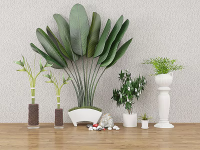 Bonsai and Potted Plants with Large Leafy Plant Different Planters on Wooden Tabletop 3d model