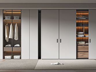 Modern wardrobe combination 3d model