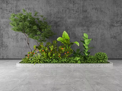 Diverse Green Plants In Rectangular Planting Area Featuring Small Tree Large Leaves And Orange Blooms 3d model