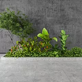 Diverse Green Plants In Rectangular Planting Area Featuring Small Tree Large Leaves And Orange Blooms