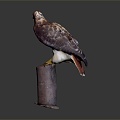 Modern Eagle Carving 3d model