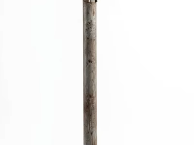 Vertical Rustic Wooden Pole With Natural Texture And Weathered Surface 3d model