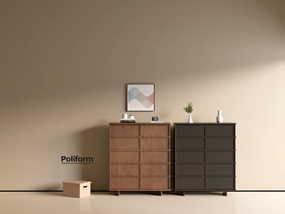 Modern Entryway Cabinet and Side Cabinet with Wooden Wall Art Small Box and Decorative Plants 3d model