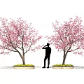 Potted Bonsai Trees With Pink Blossoms And Person Standing Between Circular Planters