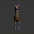 Orange and White Vicuna Animal With Blue Tipped Ears Black Nose Standing on Gray Background