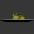 Fresh Green Vegetable Rolls Garnished With Herbs And Yellow Sauce On White Plate