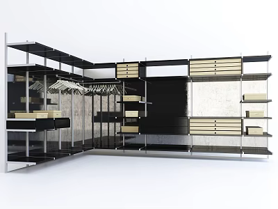 Modern Black and White Wardrobe Interior Design With Hanging Rods Shelves and Drawers 3d model