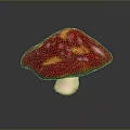 Fresh Red Shiny Mushroom with Spotted Cap and White Stem as Edible Food