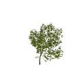 Green Tree Decorative Ornament Set For Home Decor With Realistic Leaves And Natural Style