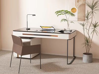 Modern Desk with Table Lamp Laptop Book Chair and Plants Near Decorative Art on Carpet 3d model