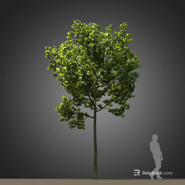 Lush Green Arbor With Thick Trunk And Human Silhouette For Scale 3d model 