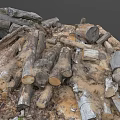 Scattered Pile of Raw Wood Logs and Stones on Grassy Natural Ground