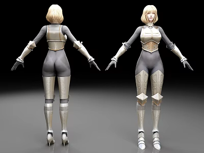 Woman In Detailed Silver Gray Armor With Shoulder And Leg Guards 3d model