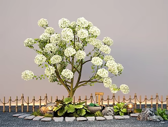 Arbor Chinese wood hydrangea large shrub flower border plant Tingbu landscape sketch 3d model