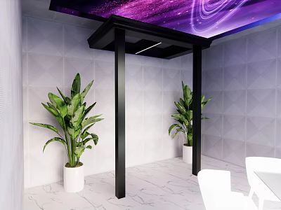 Black Column In Modern Interior With Purple Starry Ceiling White Geometric Wall And Green Plants 3d model