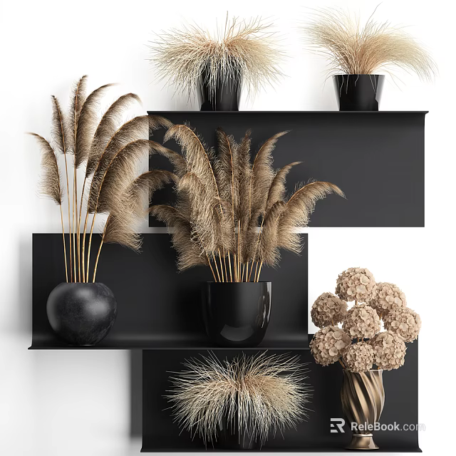Potted Plants On Black Shelves With Feathery Leaves And Round Flowers For Modern Indoor Decor 3d model 