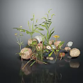 Wood Stone Materials with Green Plants Small Yellow Flowers White Daisies and Dark Background Reflections