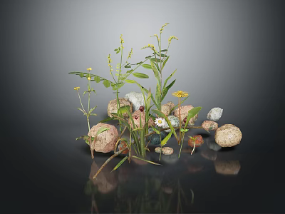 Wood Stone Materials with Green Plants Small Yellow Flowers White Daisies and Dark Background Reflections 3d model